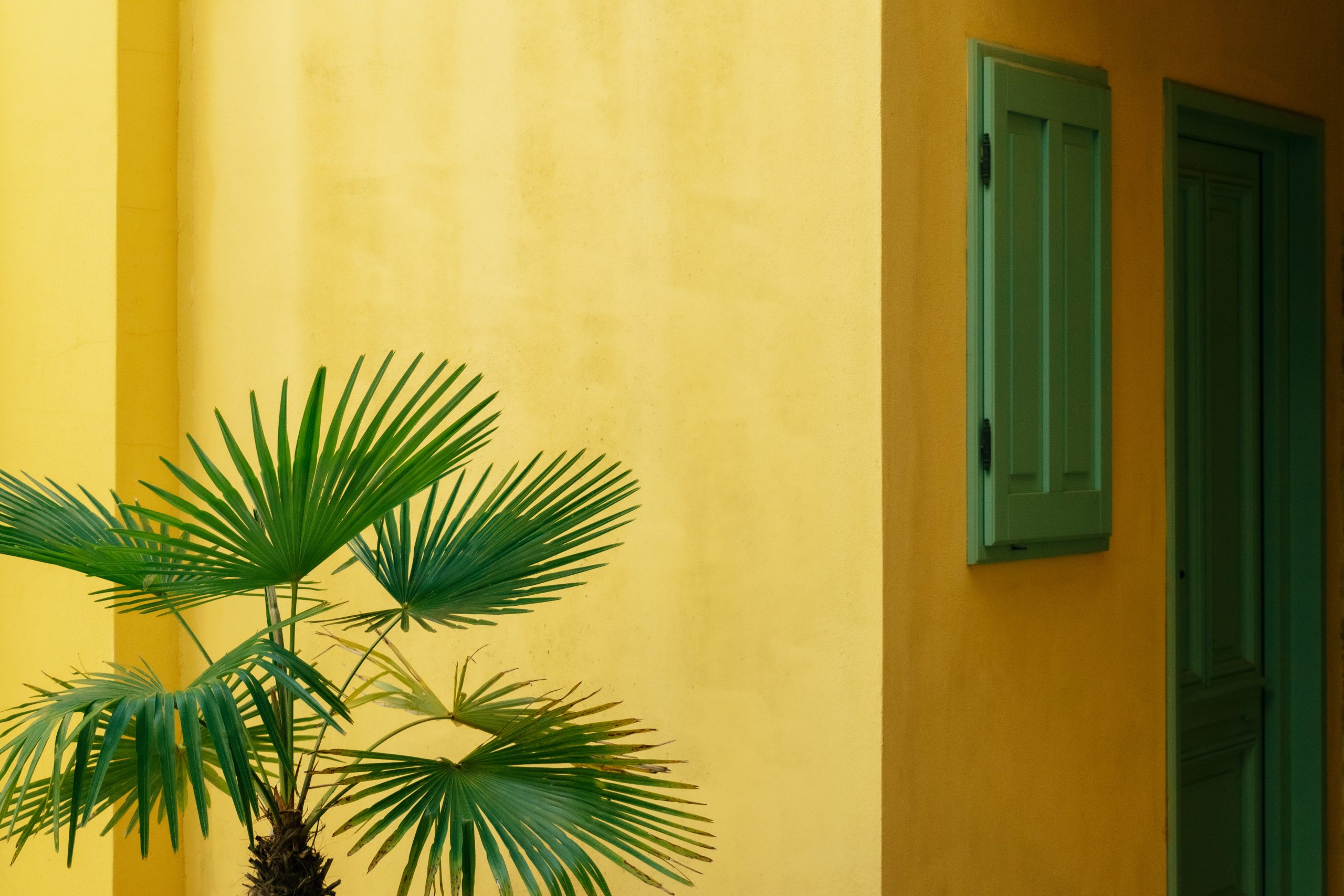 professional painters UAE applying paint to villa exterior wall in sunny weather